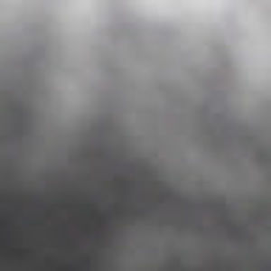 Meet your Posher, Jesse